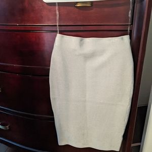 Silver pencil skirt
